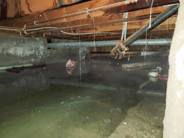 Best Commercial water damage restoration  in Conyers, GA