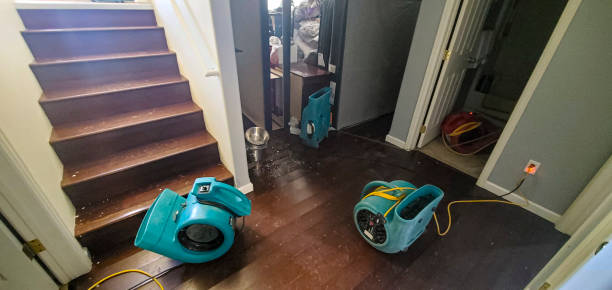 Best Water damage restoration company  in Conyers, GA