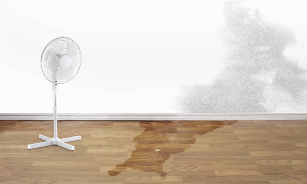 Best Professional water damage repair  in Conyers, GA