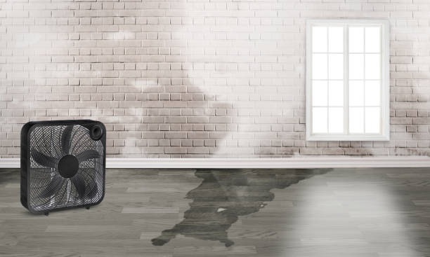 Best Ceiling water damage repair  in Conyers, GA