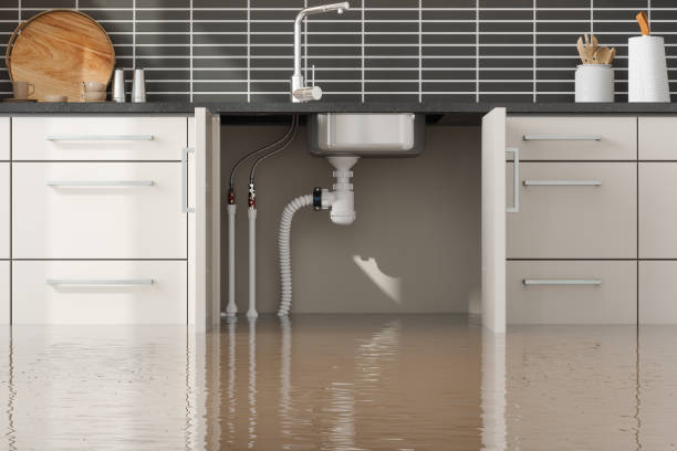 Best Mold removal after water damage  in Conyers, GA
